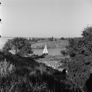 von Bonin, Volker. 1955